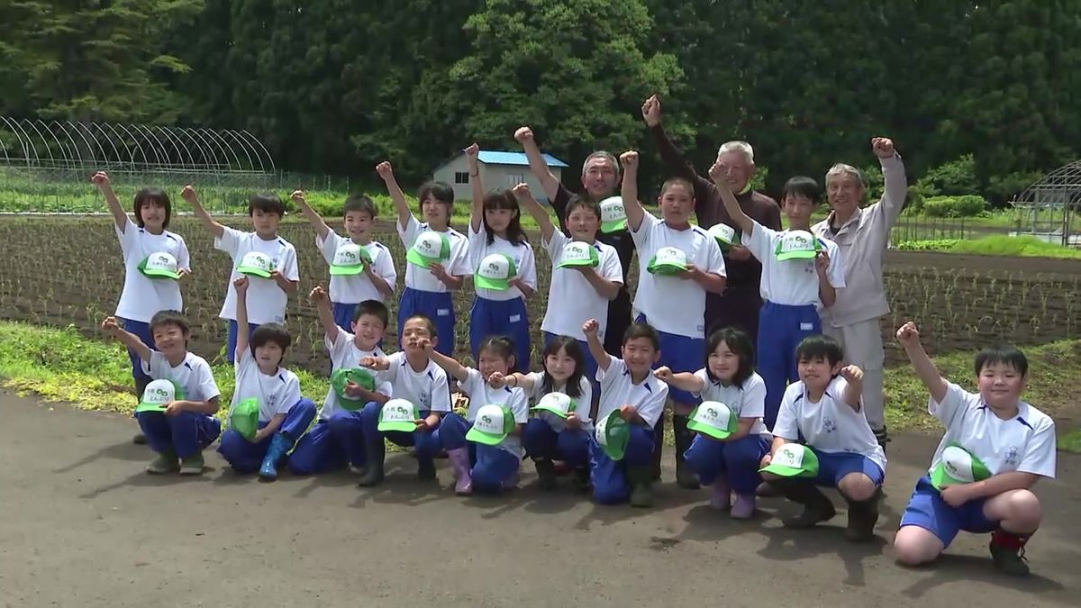 横手でスイカ、大館でとんぶり…子どもたちが地域の特産の苗植え体験