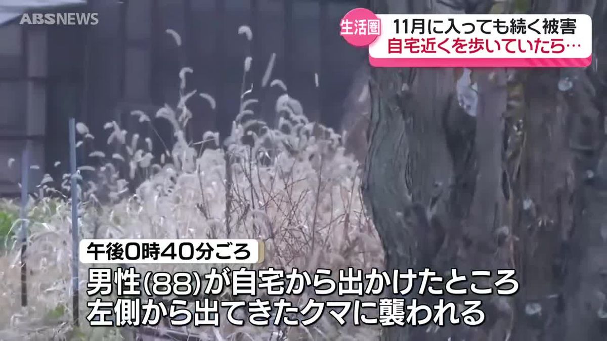 鹿角 市 ニュース 速報