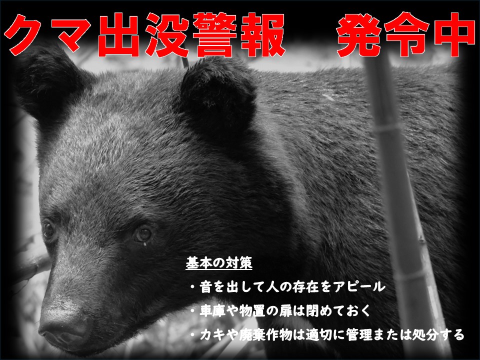 県がツキノワグマ出没警報を12月31日まで再延長 冬眠の季節に入るも