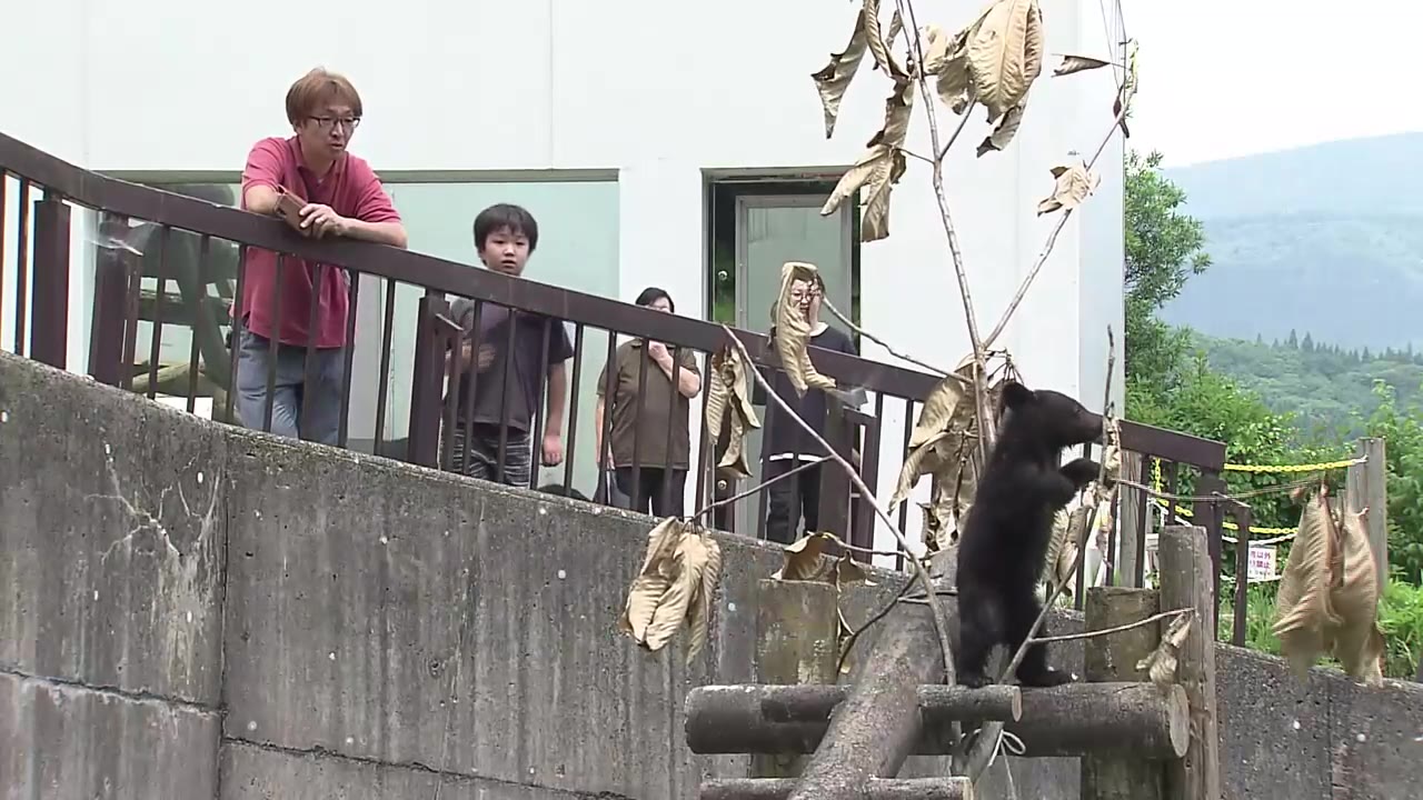 子グマとのふれあいに多くの家族連れ くまくま園（2024年6月22日掲載