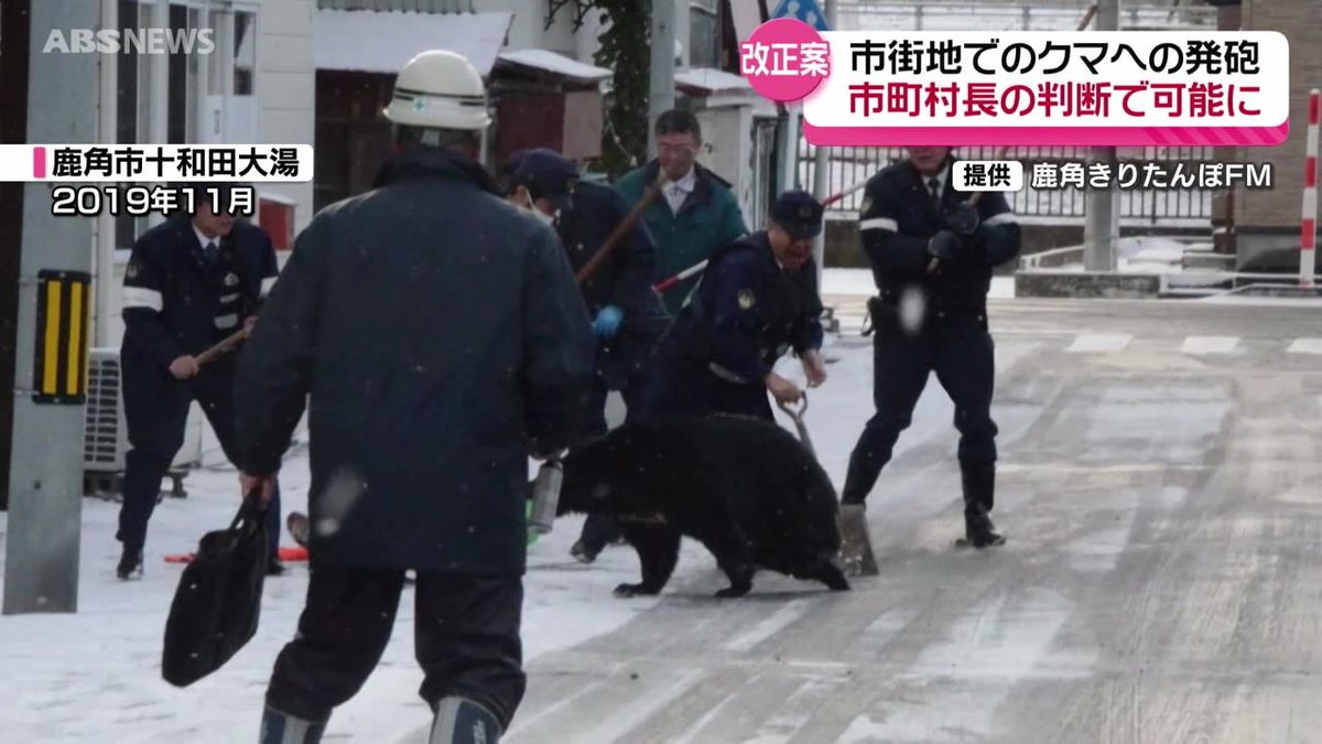 市街地で銃を使ったクマなどの駆除を可能に　鳥獣保護管理法の改正案が閣議決定　市街地でのクマ対策の強化へ