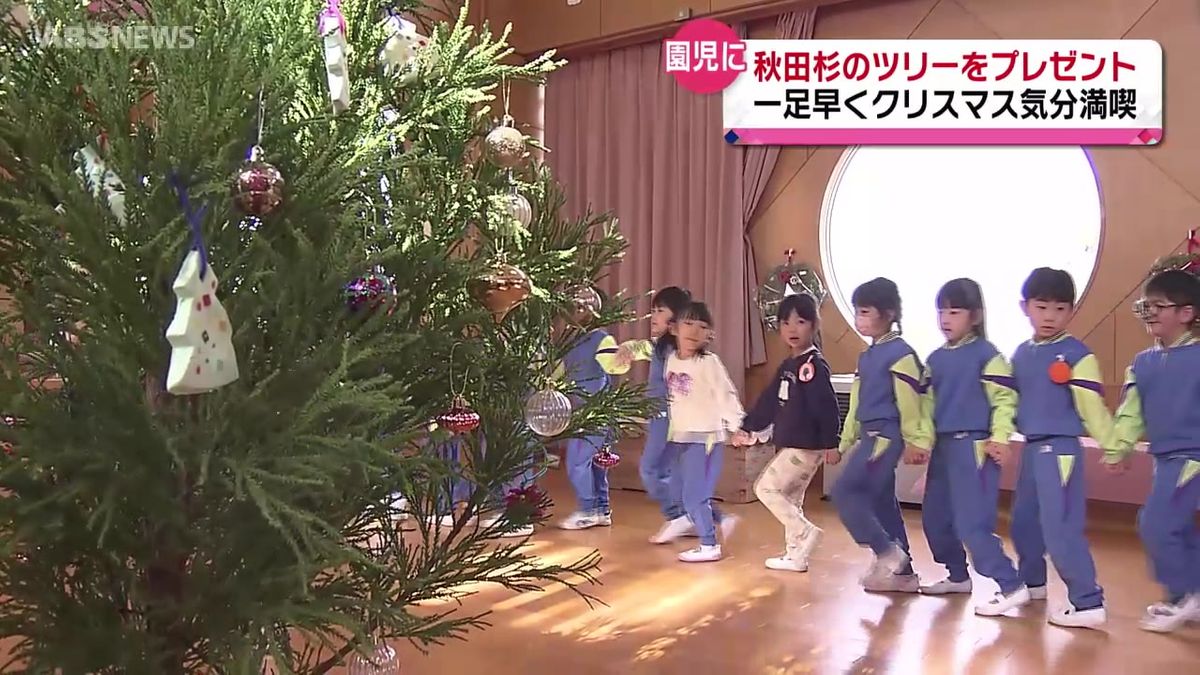 秋田杉のクリスマスツリー　園児が飾り付け