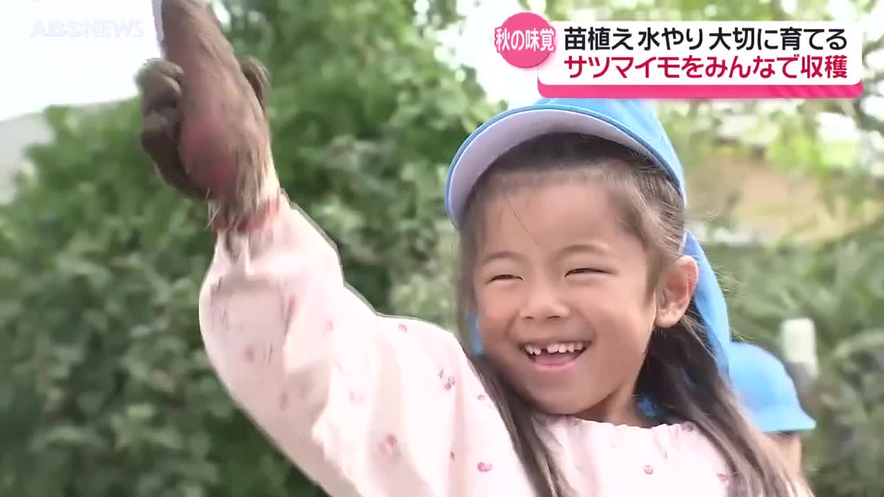 園児が大事に育てたサツマイモを収穫 一緒に苗植えをしたおじいちゃん