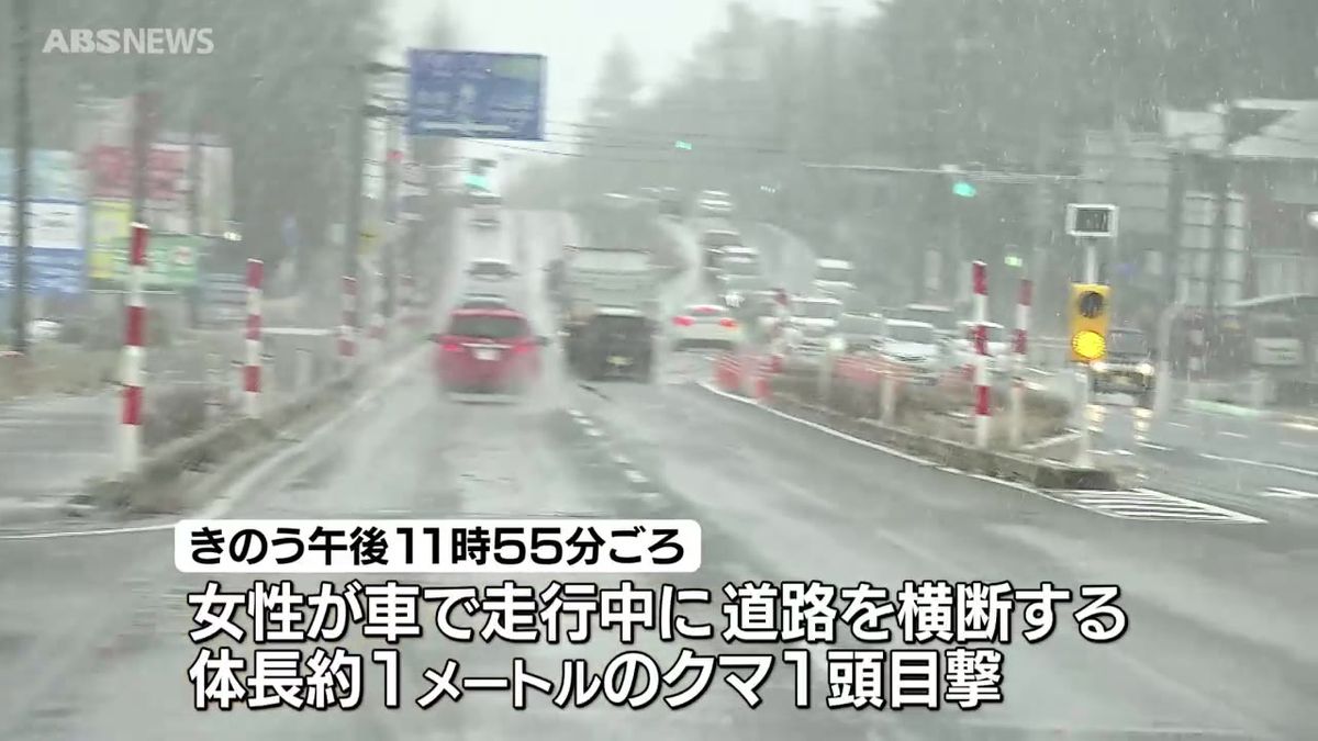 秋田市でクマ？目撃相次ぐ　大館市の小学校でもクマの目撃