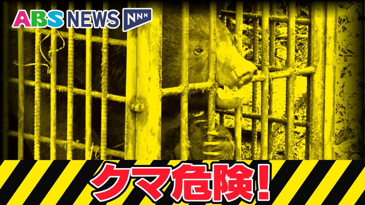 雄物川高校向かい側の倉庫に侵入したクマ捕獲