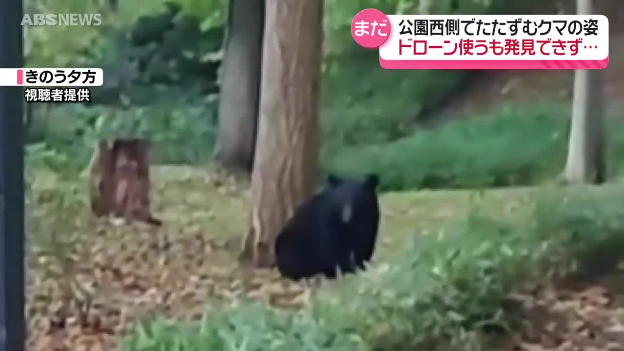 千秋公園のクマをカメラがとらえる 28日夕方に撮影 立ち入り規制は4日