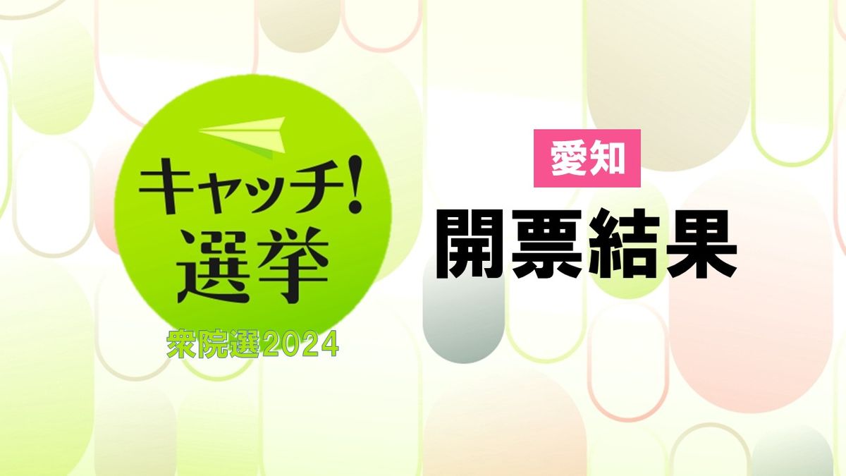 【衆院選2024】愛知　開票結果