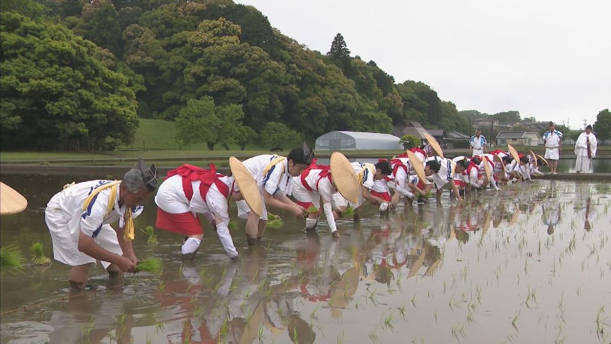 伊勢神宮に供える米づくり「神田御田植初」　笛や太鼓が鳴り響く中、保存会メンバーらが丁寧に苗を植える　三重・伊勢市