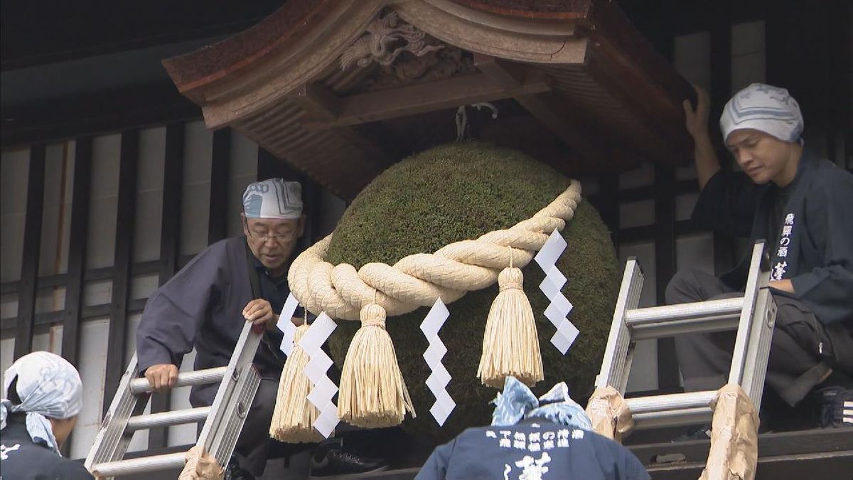 冬を迎える前の風物詩　新酒の初搾り知らせる｢杉玉｣の掛け替え　今年の新酒はりんごのようなフルーティーな味わい　岐阜・飛騨市