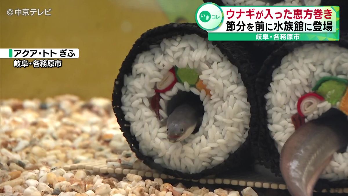 ウナギが入った恵方巻き 節分を前にアクア・トトぎふに登場 岐阜・各務原市