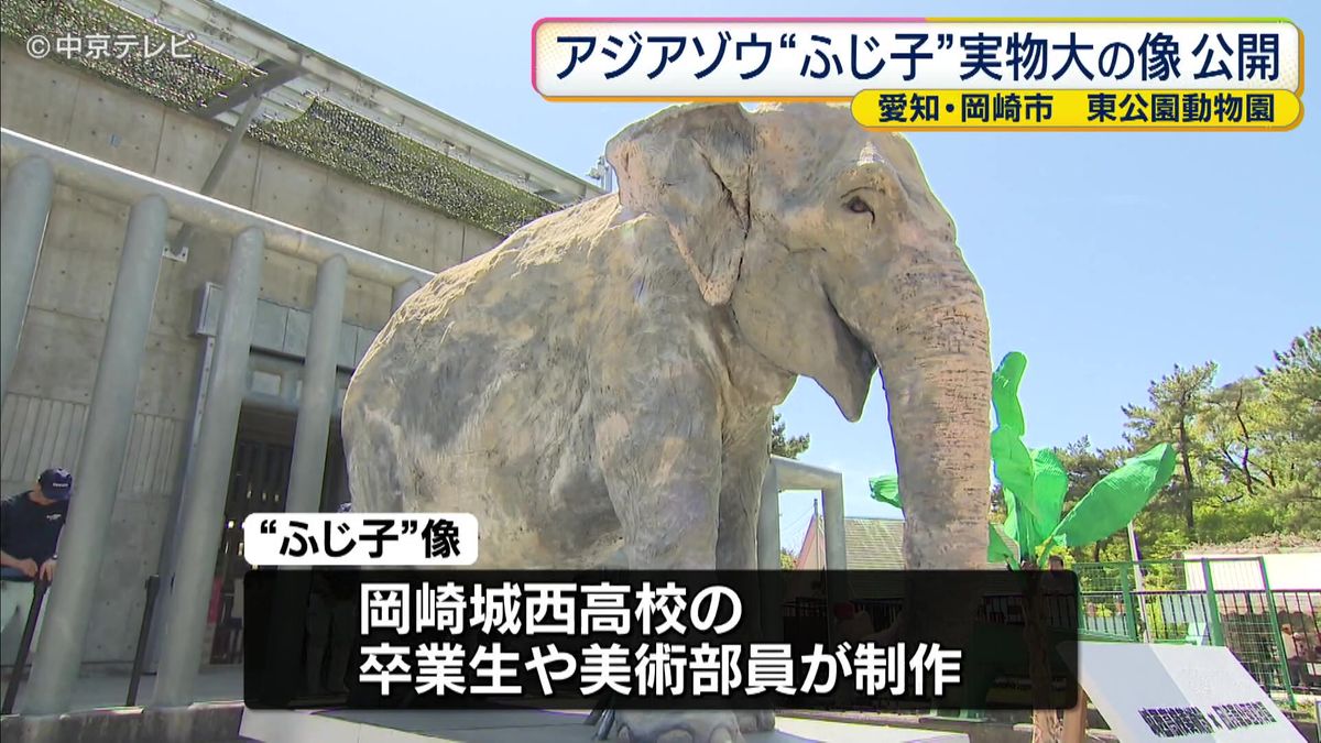 動物園から生まれた温かい絆を楽しもう！