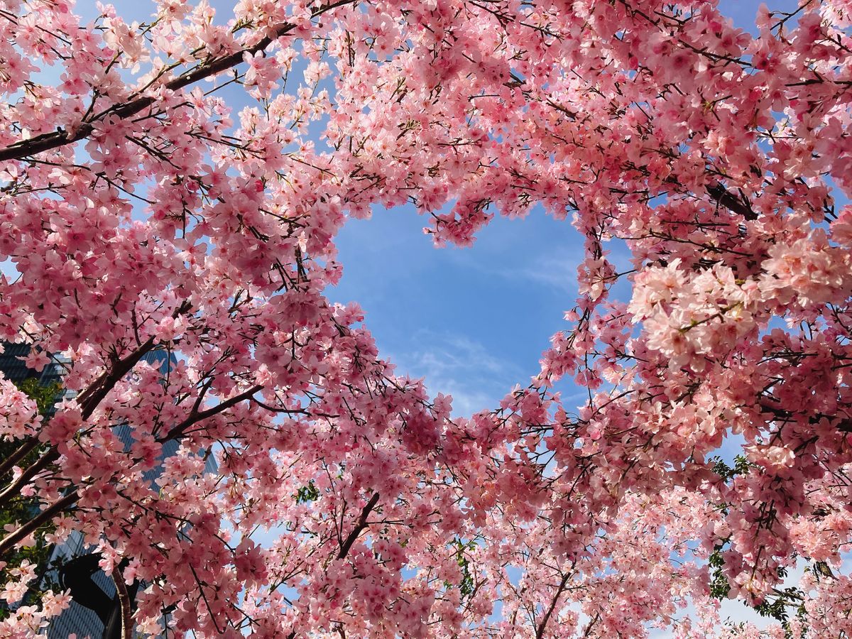 名古屋駅で“サクラ満開”の春を感じる、桜モチーフのタルトやパスタなど限定グルメも続々登場