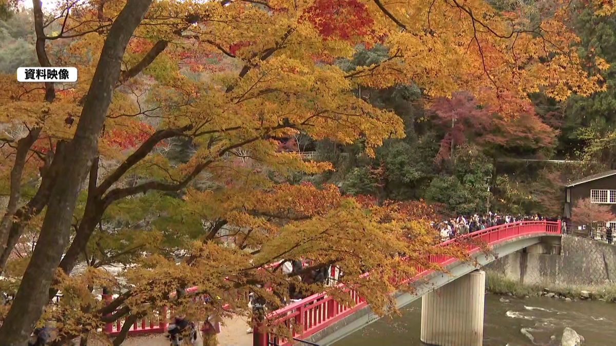 愛知・岐阜・三重の紅葉スポットの“見頃”はいつ!? 香嵐渓は「1 愛知・岐阜・三重の紅葉スポットの“見頃”はいつ!? 香嵐渓は「1