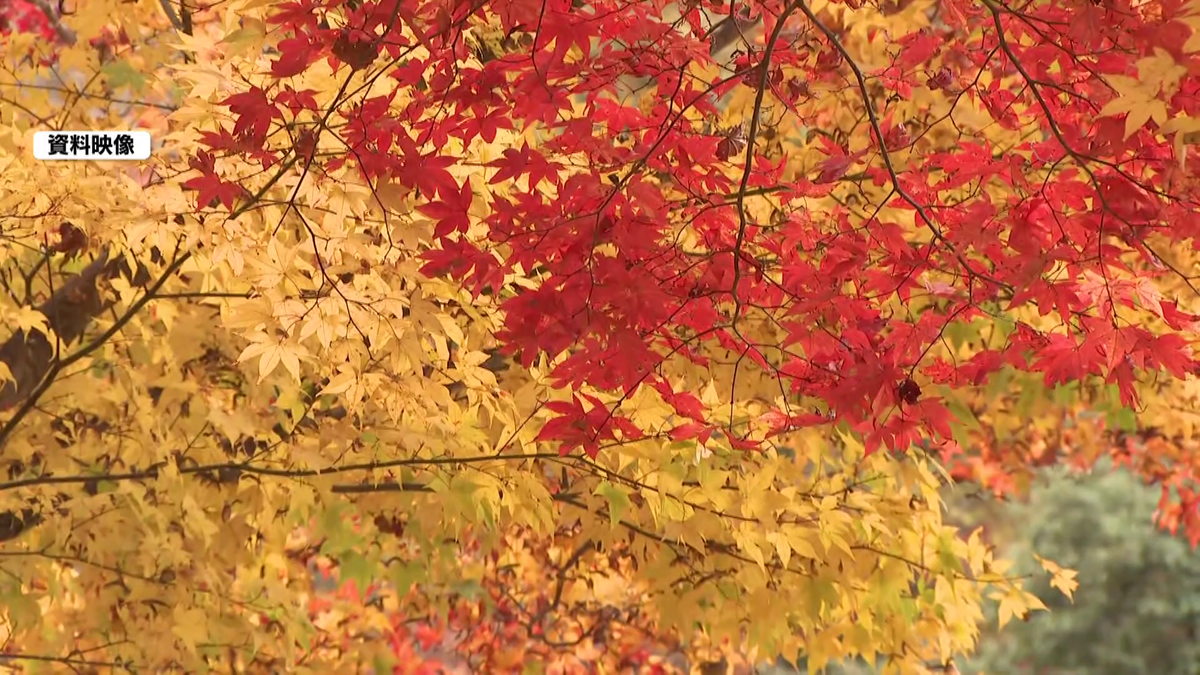愛知・岐阜・三重の紅葉スポットの“見頃”はいつ!? 香嵐渓は「1 愛知・岐阜・三重の紅葉スポットの“見頃”はいつ!? 香嵐渓は「1