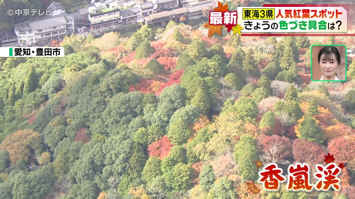 東海３県の人気紅葉スポット　色づき具合は？　（11月28日放送）