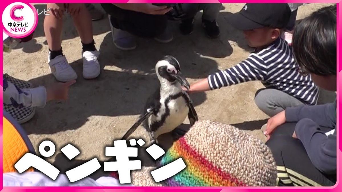 【これってウチだけ？】 ４人＋動物12匹の大家族　ペンギンの意外なルーティンとは･･･（2024.4.22放送）