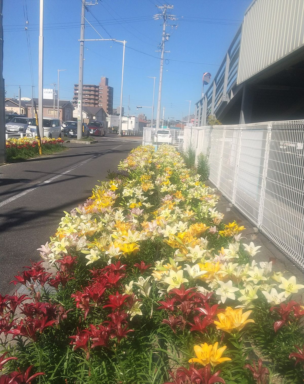 新共栄橋南交差点の東側