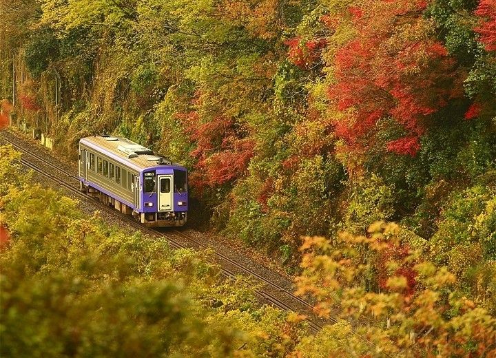 関西本線「名古屋～伊賀上野」を結ぶ直通列車に乗ろう　２月に２日だけの限定企画　ＪＲ西日本と三重県