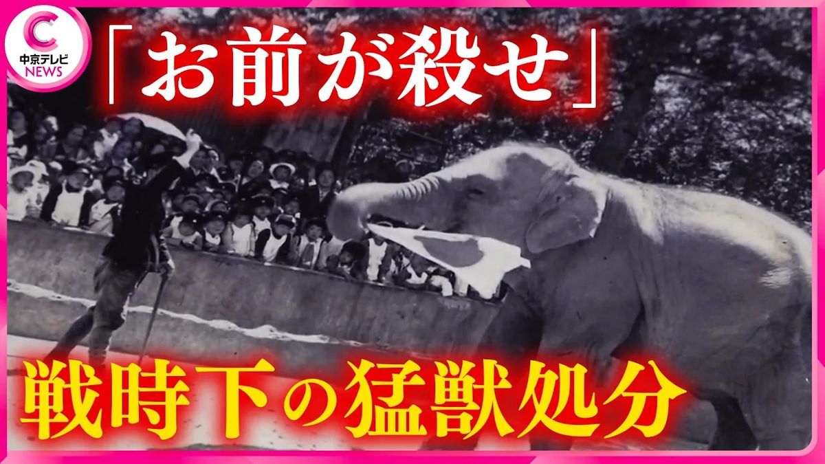 【動物園の殺処分】「エリーごめんね…」ゾウの飼育員が語った 戦争と猛獣処分（2023.8.15 放送）