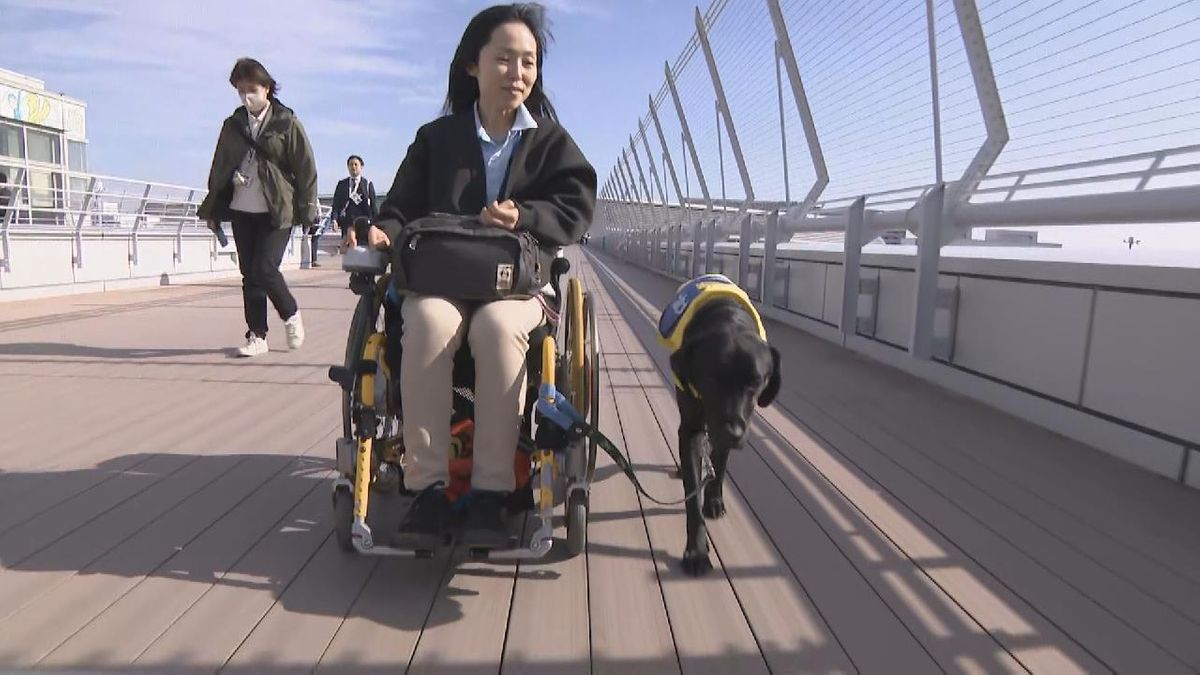 中部国際空港で介助犬訓練　人混みや飛行機などの音に落ち着いて対応する訓練など　愛知・常滑市