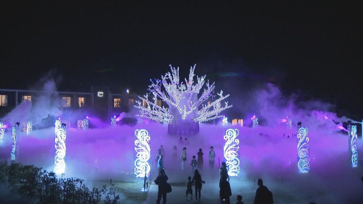 冬の夜を彩るイルミネーション　テーマは「生命の光」　愛知・蒲郡市