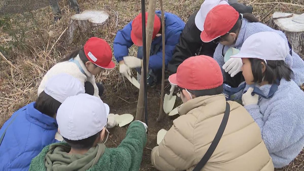 桜の名所を増やす取り組み　小学生たちが桜を植樹　三重・大紀町