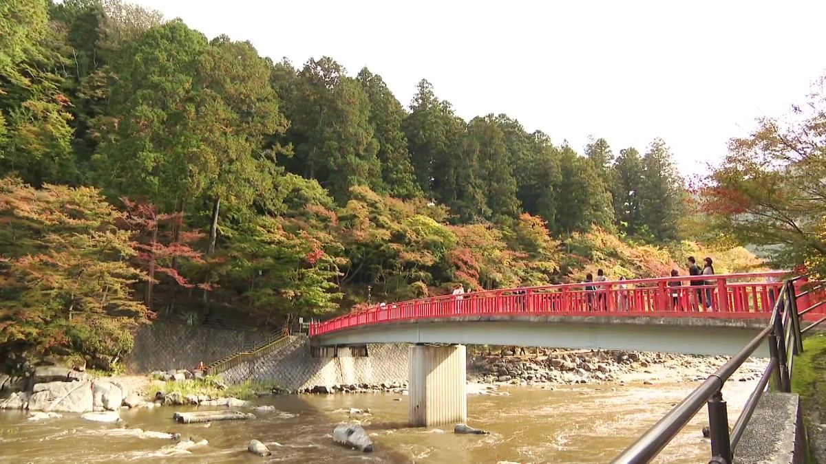 紅葉の名所「香嵐渓」 今年は渋滞緩和の新対策が 愛知・豊田市