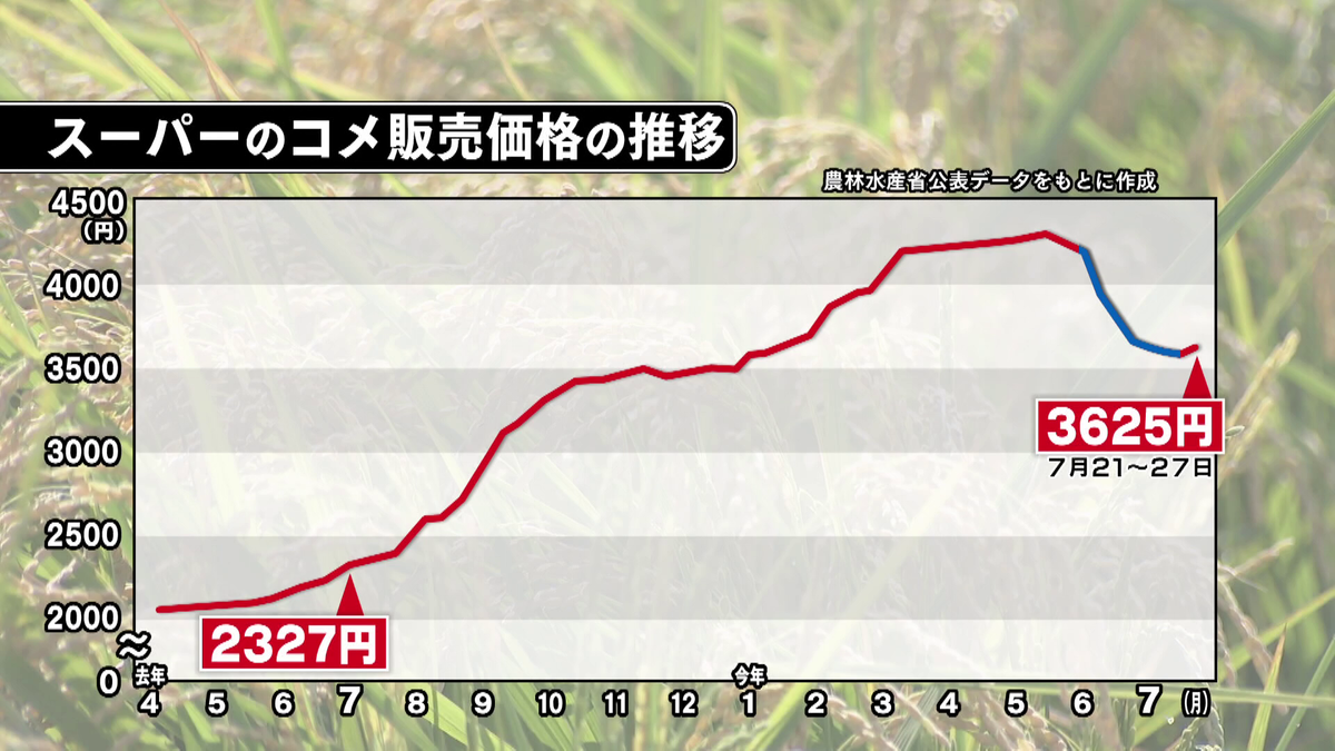 2ページ目 続く“令和のコメ騒動” 増産決定も今年の値下がりは期待薄か… 新米シーズン到来で5キロ4000円台に？  「去年の5キロの値段が今の2キロの値段」（2025年8月8日掲載）｜中京テレビNEWS NNN