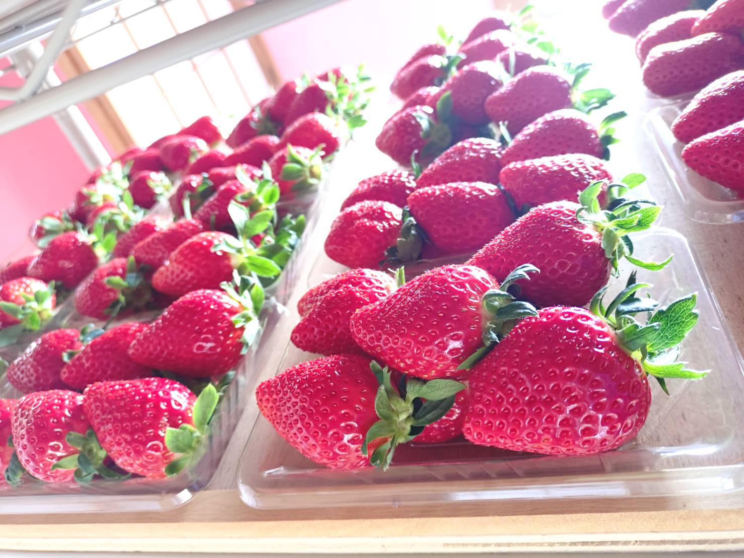 2ページ目 三重・松阪市「髭のよつぼし」が全国いちご選手権で金賞