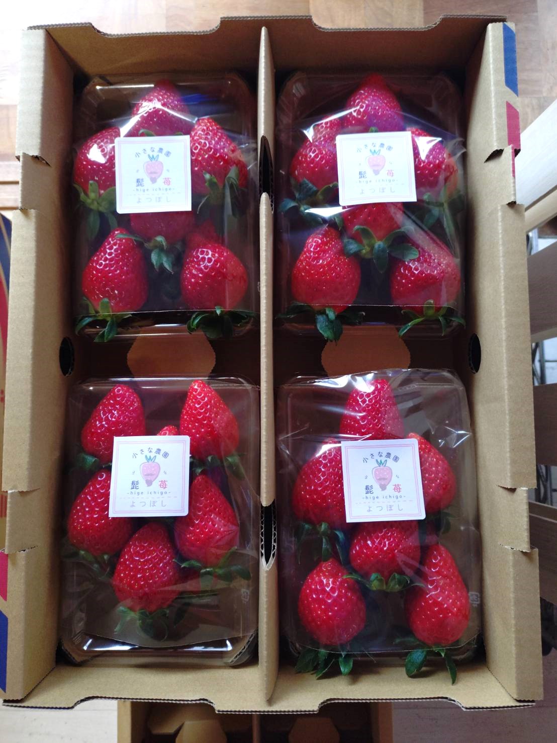 2ページ目 三重・松阪市「髭のよつぼし」が全国いちご選手権で金賞