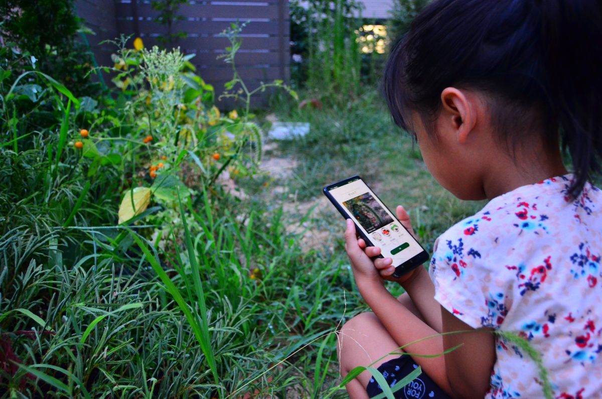 アプリで身近な“いきもの”集め！楽しみながら生物多様性の大切さを学ぶ　名古屋市