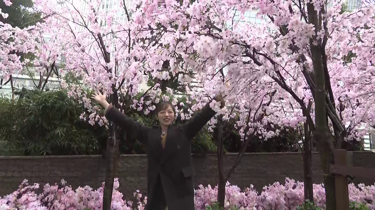 大名古屋ビルヂングでひと足早く“桜”が満開！？　春を告げる「サクラスカイガーデン」開催　“巨大ブーケ”や“天空の桜並木”など絶好のフォトスポットも　桜がテーマのスイーツも続々登場！