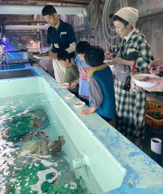 「お魚エサやり体験」 これであなたも飼育員に　 1日１組限定　碧南海浜水族館　愛知・碧南市