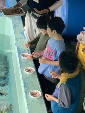 エサやりを楽しむ子どもたち（碧南海浜水族館提供）