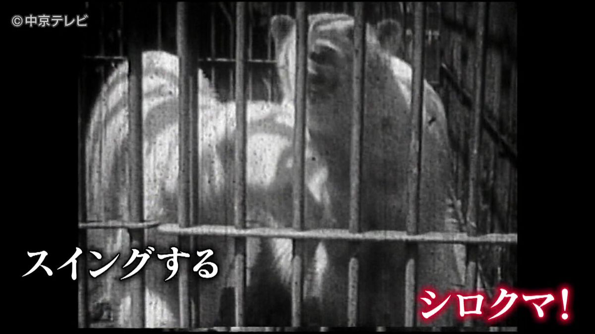 【昭和100年 映像館⑩】“鶴舞公園の動物園”