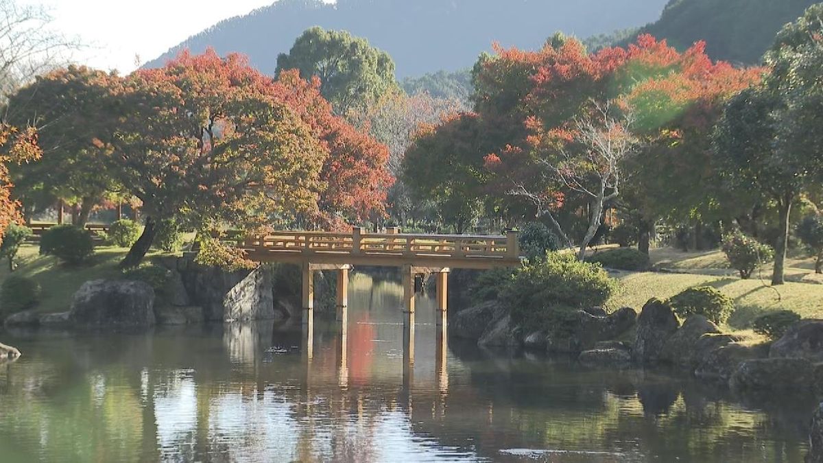 「種まき権兵衛の里」で紅葉見頃　園内を赤や黄色に染める　三重・紀北町