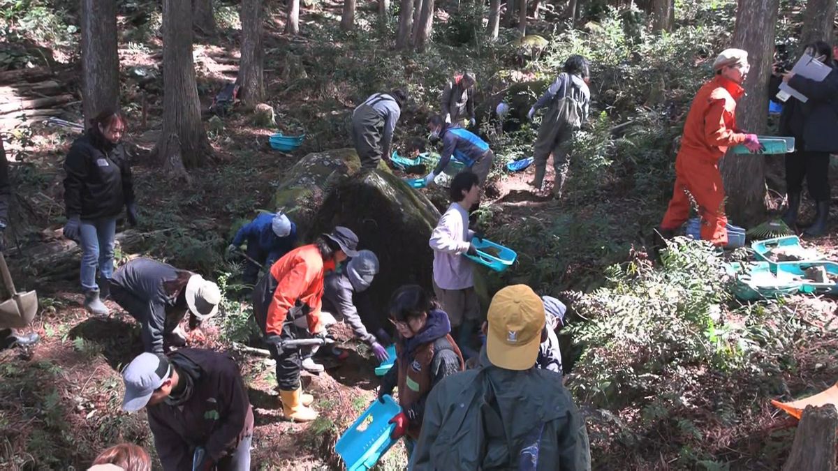 生物多様性の森林づくりに向けて…市有林の整備約40人が参加 草刈りや倒木の撤去など作業持続可能な森林経営目指す 三重・尾鷲市 市有林「みんなの森」
