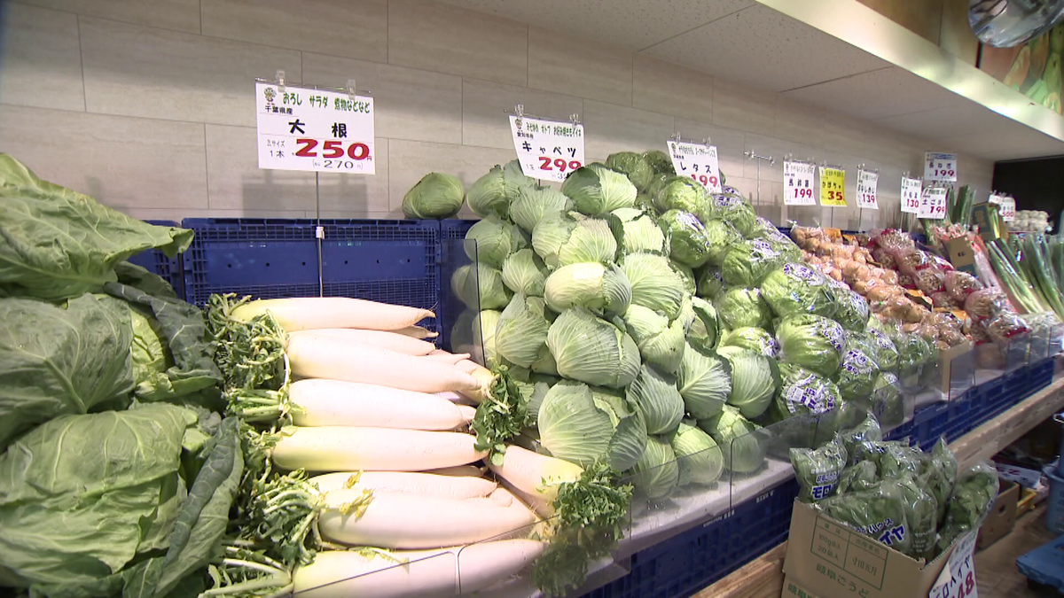 キャベツの価格が平年の2倍に…！？　いつまで続く「野菜の高騰」