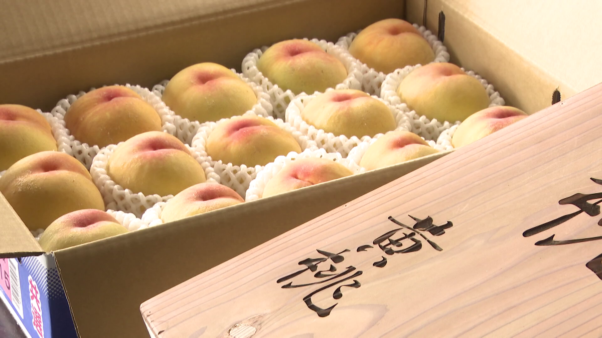 “1玉3000円の高級桃”　選りすぐりの桃をPRして農家に還元　愛知・豊田市
