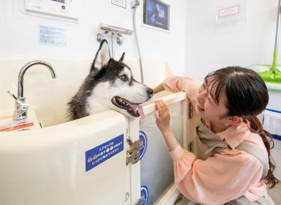 セルフ式ドッグスパを豊川にオープン　自分の手で愛犬をきれいに　愛知・豊橋のサーラコーポレーション