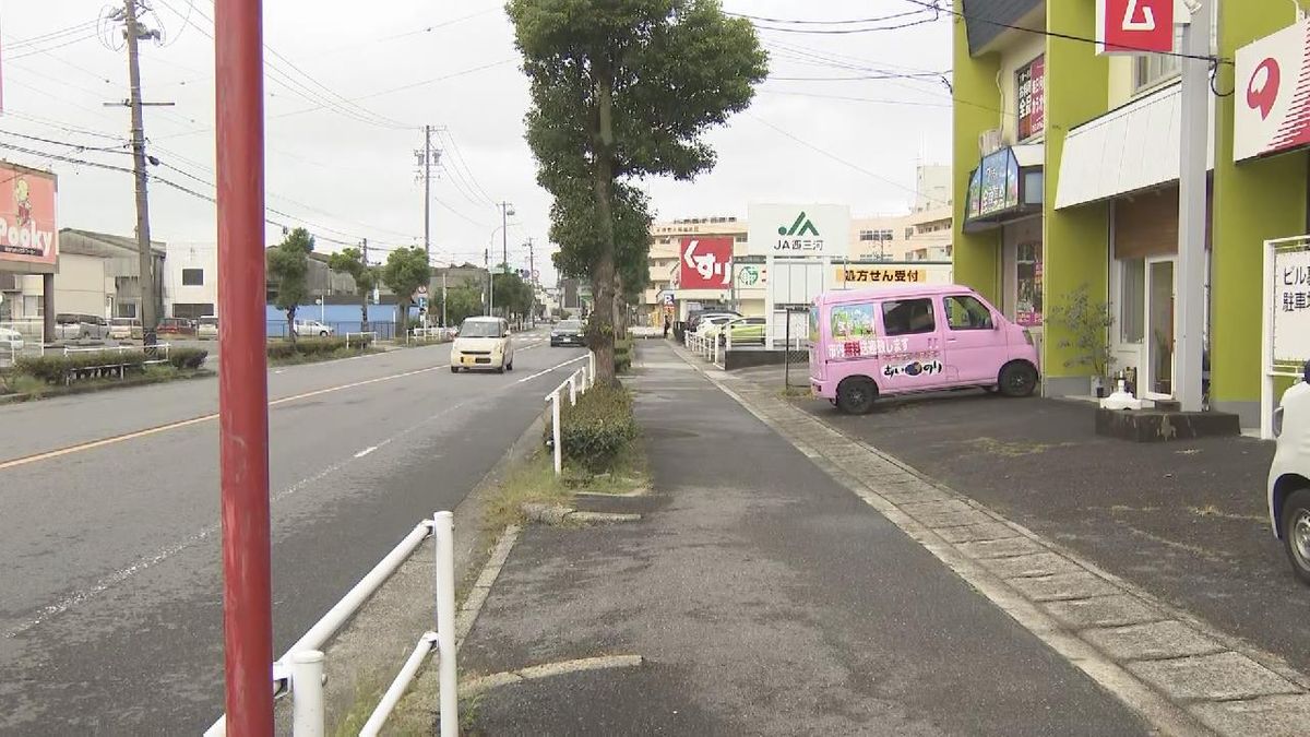 県道で車道にいた20代ぐらいの女性が車にはねられ死亡　身元の確認を進めるとともに事故原因を調べる　愛知・西尾市