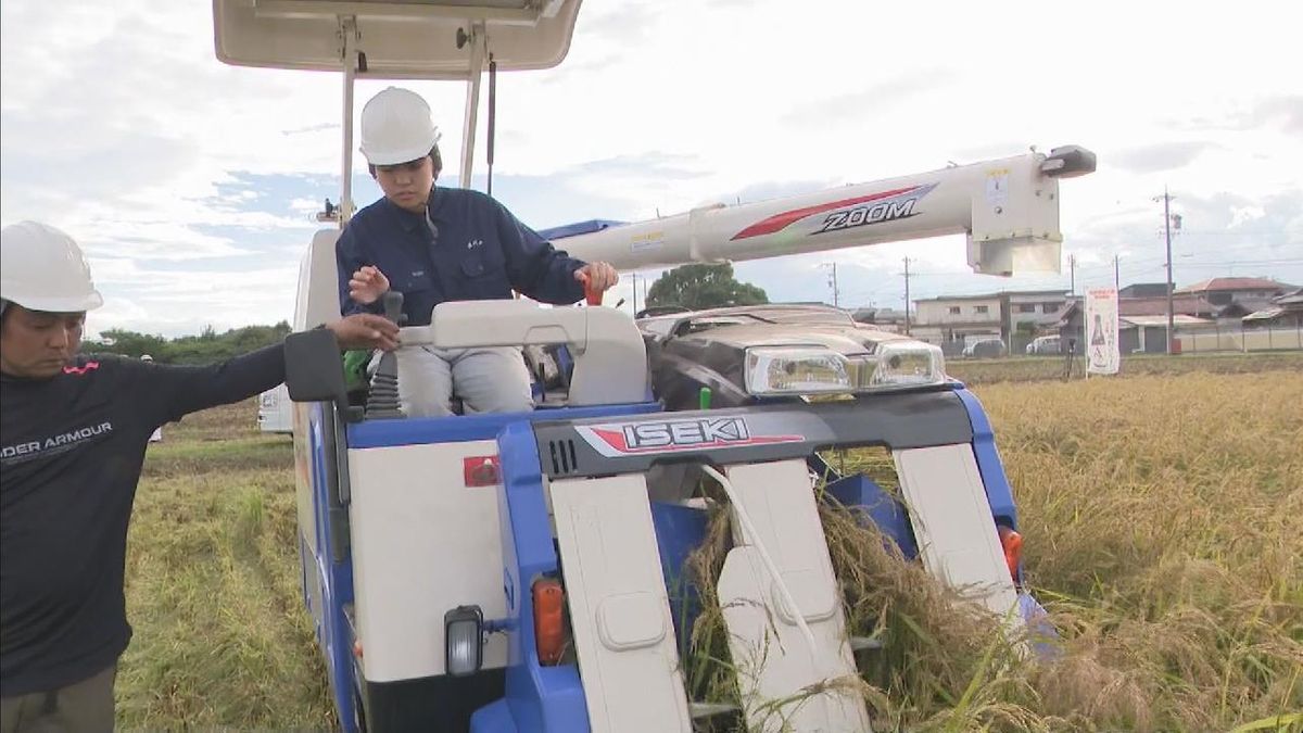 高校生が育てた酒米の収穫作業　雨の影響で例年より収穫量少なく　三重・伊勢市