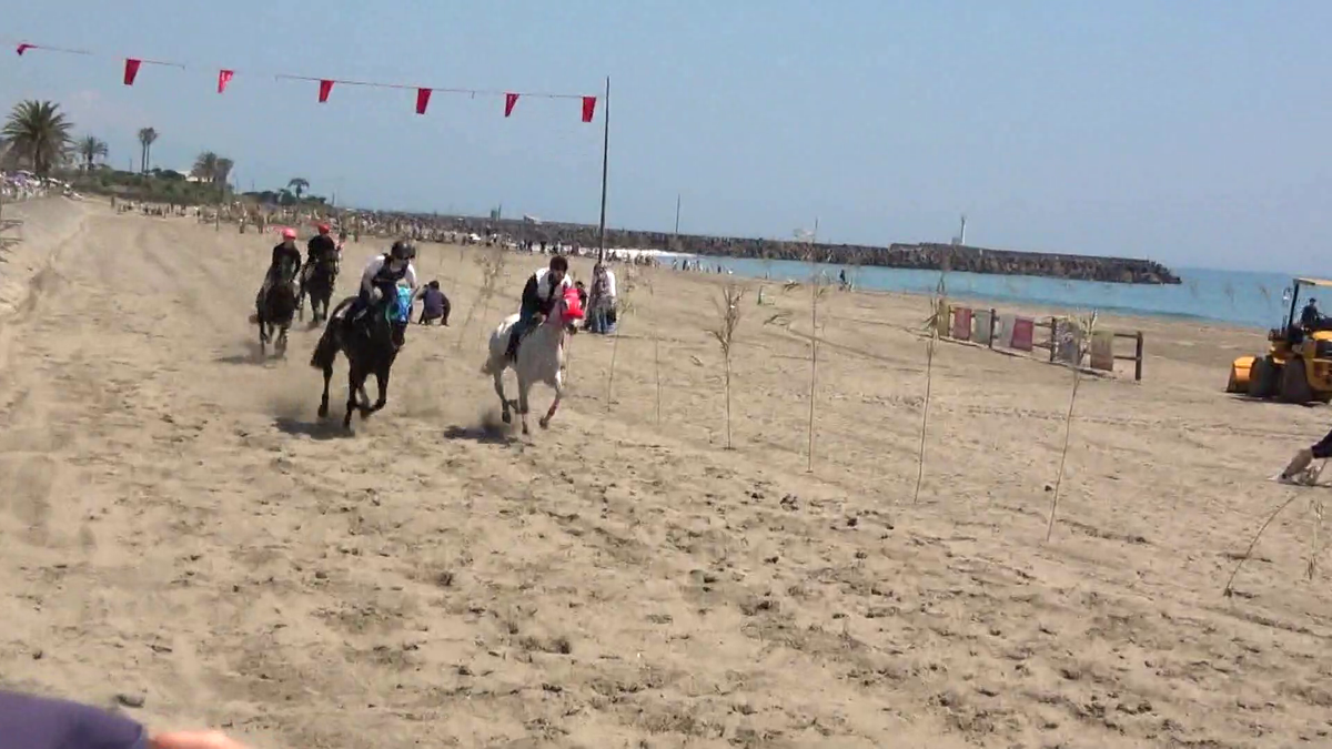 砂浜のコースを走る草競馬