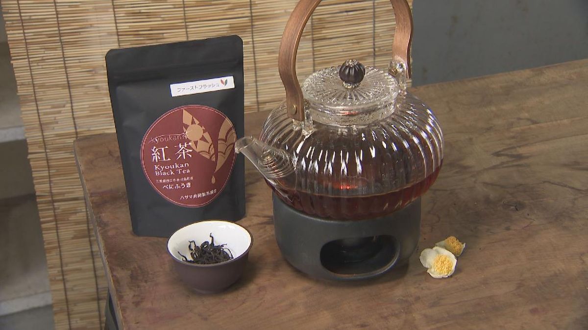 ふるさと納税返礼品ＰＲを考案　「べにふうき紅茶」　三重・津西高校の２年生