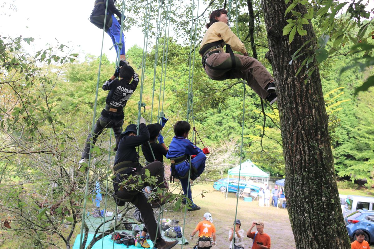 ツリーイングを楽しむ参加者たち（豊田市下山支所提供）