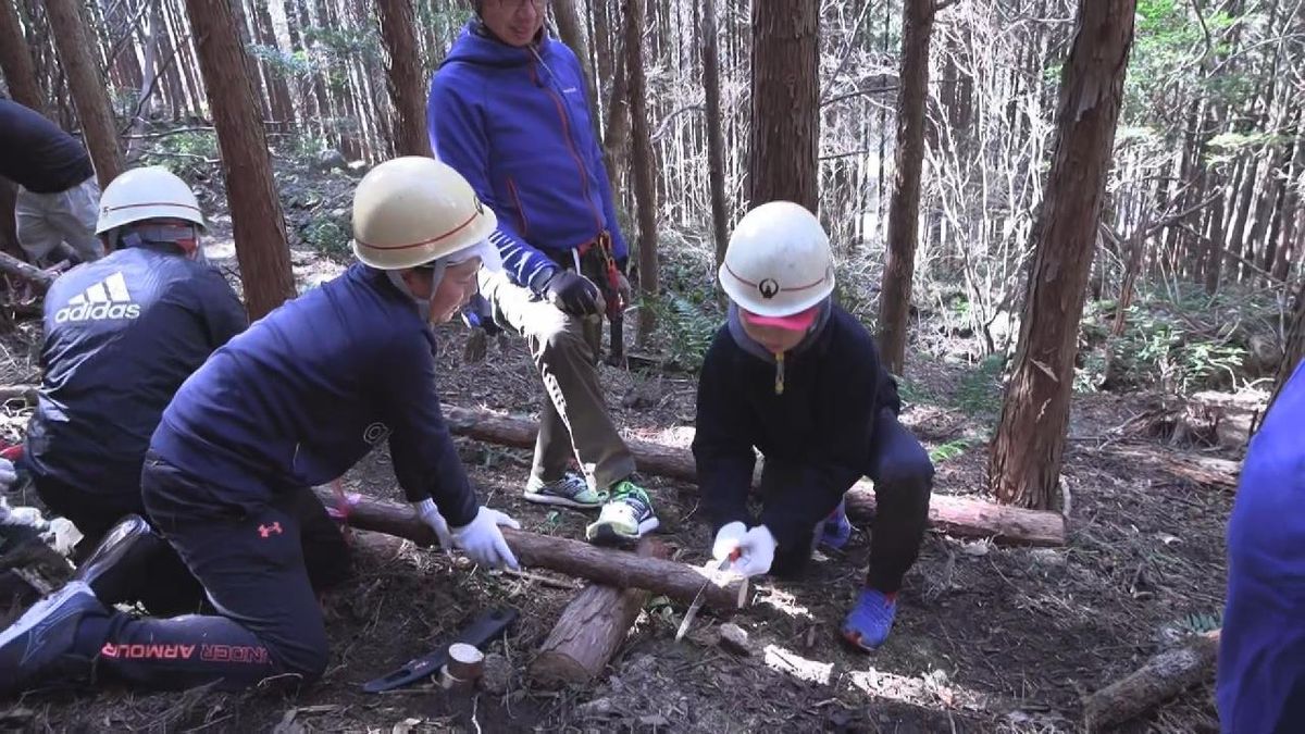 小学生が林業を体験　地元の産業について学ぶ　三重・尾鷲市