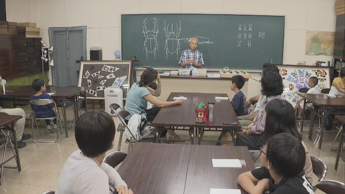 夏休みの思い出や自由研究に　子どもたちが昆虫の標本作り　岐阜市の博物館