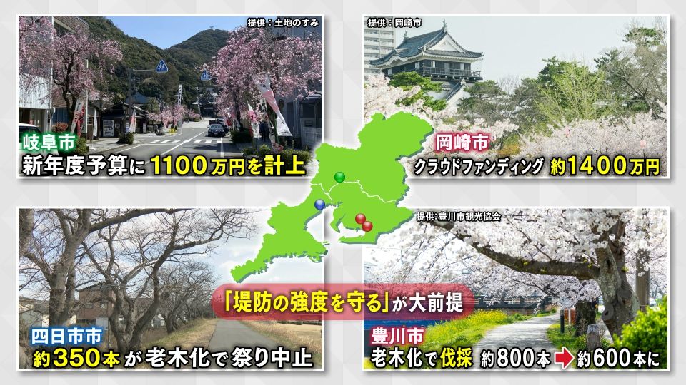 桜を守るため模索する自治体