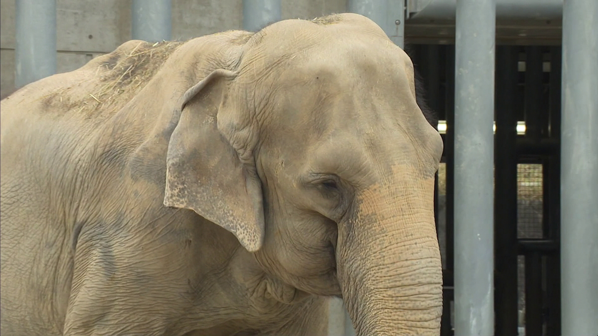 【岡崎市初】東公園動物園がクラウドファンディング開始 開園から41年･･･動物の高齢化や施設の老朽化受け　愛知