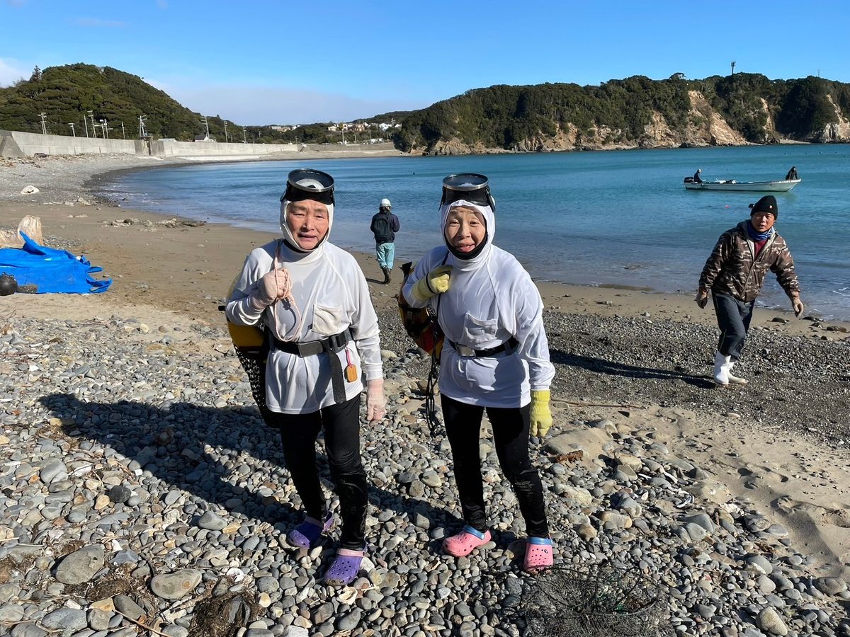 海女漁見学の様子